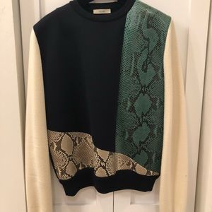 Rare Celine Runway python sweatshirt Phoebe Philo